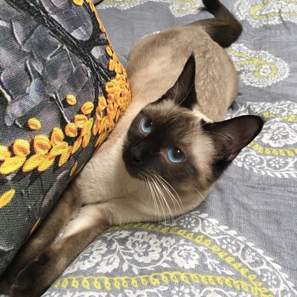 Meet your Posher, Melany - Picture 7 of 7